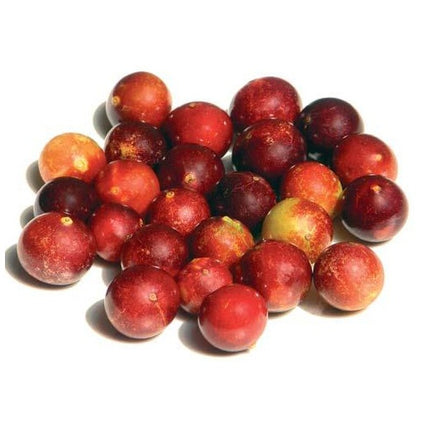 Camu Camu Poeder Raw & Organic