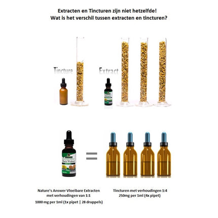 Dong Quai Extract Alcoholvrij 1000mg (30ml) Nature's Answer