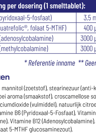 Vitamine B12 Combi met folaat - De Ultieme Energieboost voor Je Lichaam - Vitakruid - SuperfoodShop