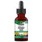 Gember (Ginger) extract alcoholvrij 30ml