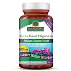 Plant-Based Magnesium – 500 mg uit Aquamin® (90 capsules)